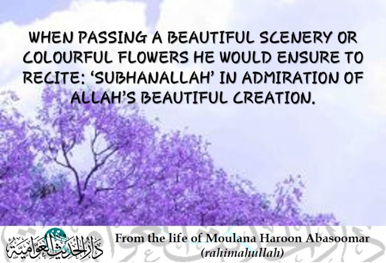 From the life of Moulana Haroon Abasoomar (rahimahullah) – Allah’s creation