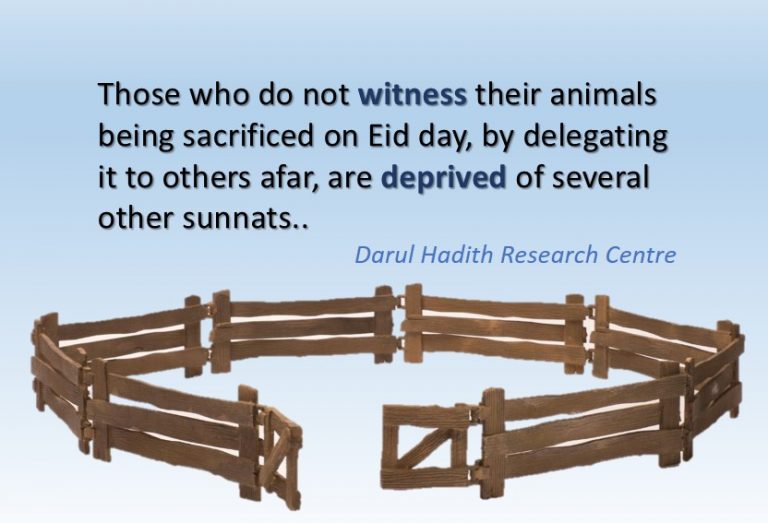 Picture from the Darul Hadith collection