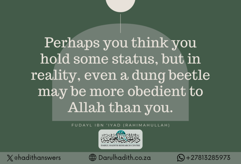 Picture from the Darul Hadith collection